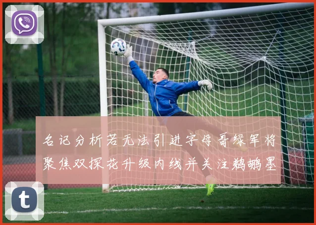 名记分析若无法引进字母哥绿军将聚焦双探花升级内线并关注鹈鹕墨菲